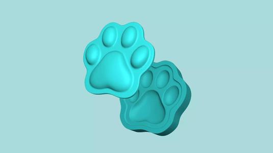 Cat Footstep - Silicone Mold -Template