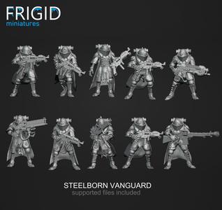 Steelborn Vanguard