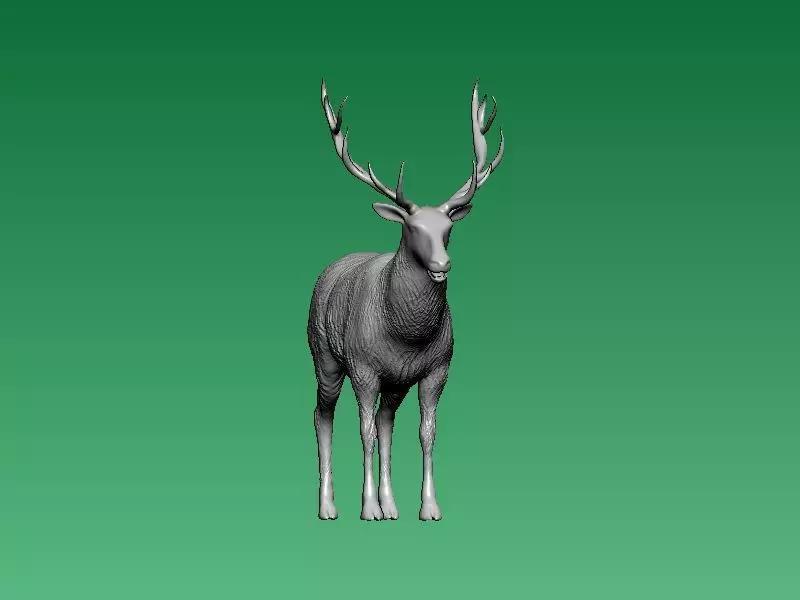 long-horned chamois - 3D print