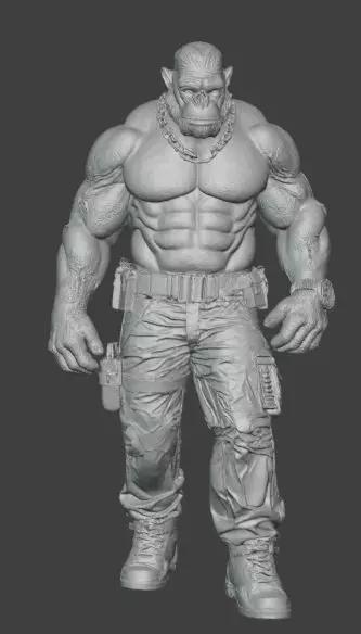 King Kong Fighter Gorilla Warrior