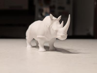 Realistic Rhino