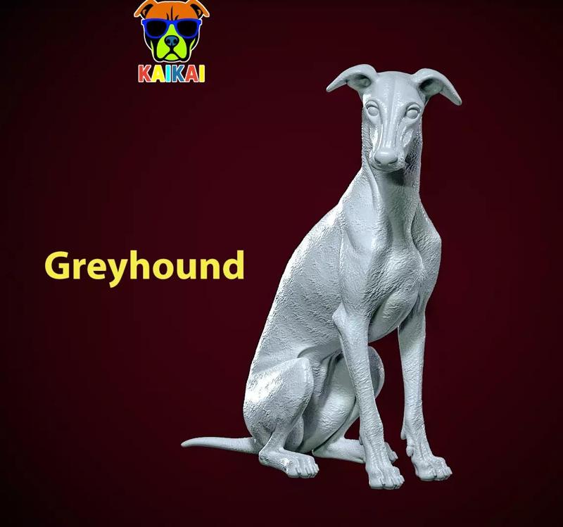 Greyhound breed - Dog greyhound racing model - 3D print