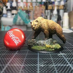 Grizzly 28mm
