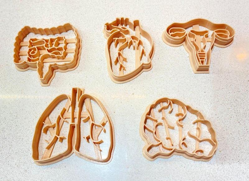 Cookie cutter human organs x5