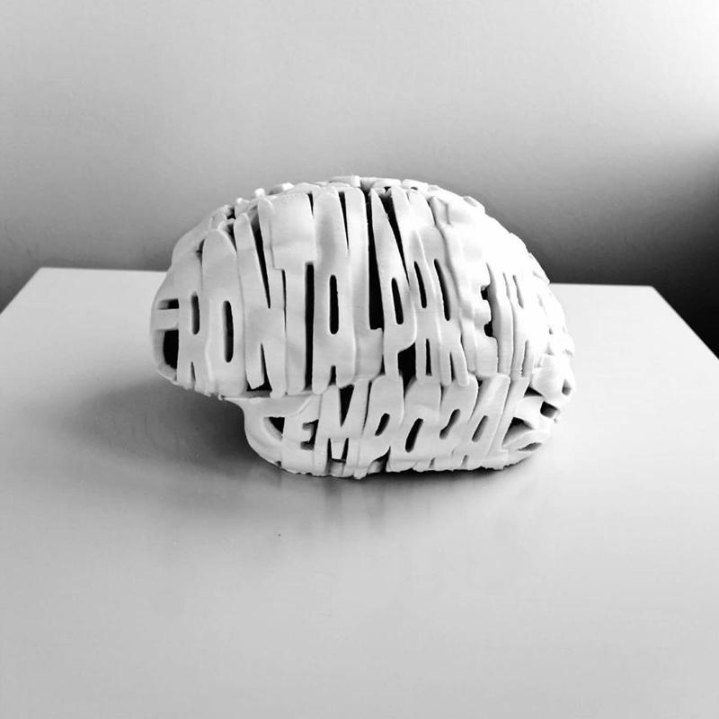 Neuroanatomy as text