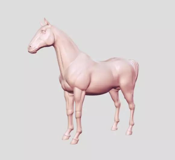 horse animal mammal