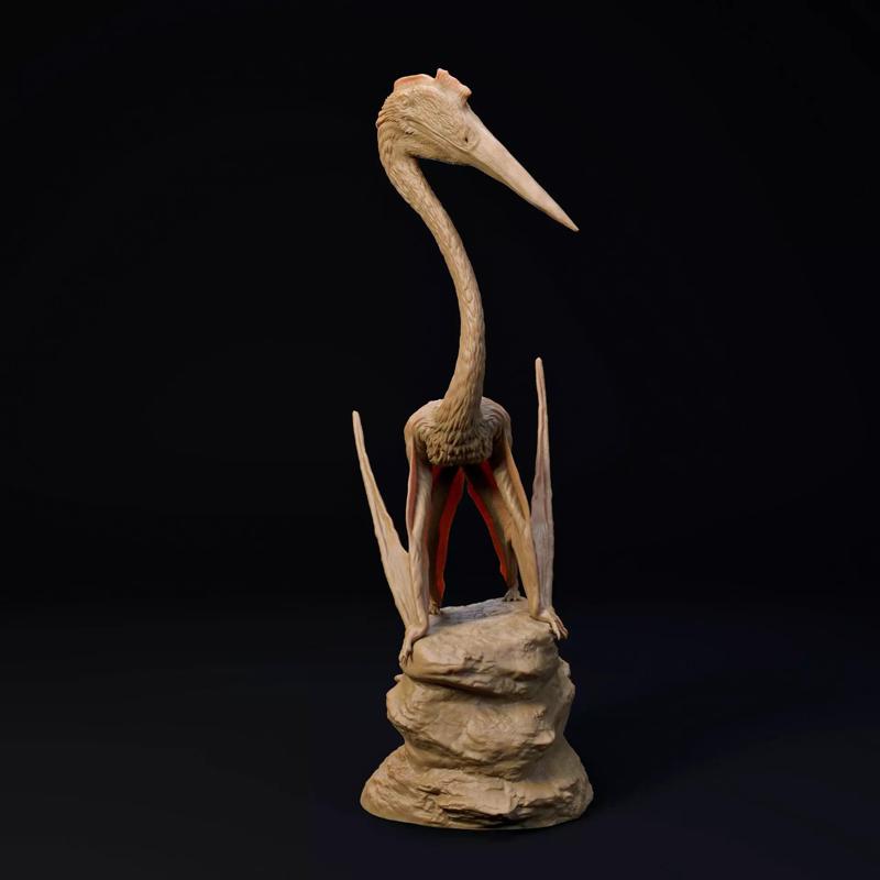 Quetzalcoatlus 1-35 scale pre-supported pterosaur