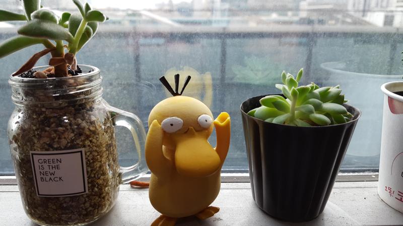 Psyduck - Pokemon