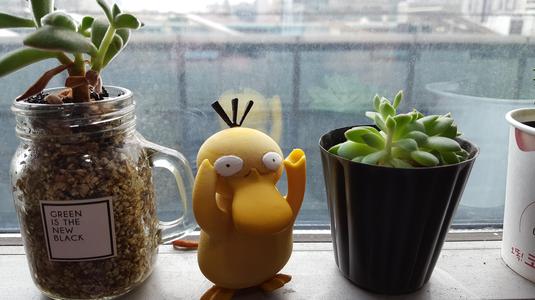 Psyduck - Pokemon