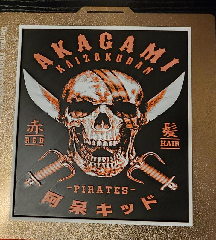 Shanks Jolly Roger Hueforge 200x220mm