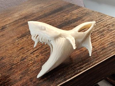 Shark Shartktooth