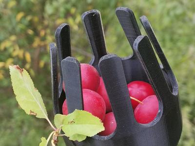 Fruit picker (18-40mm)