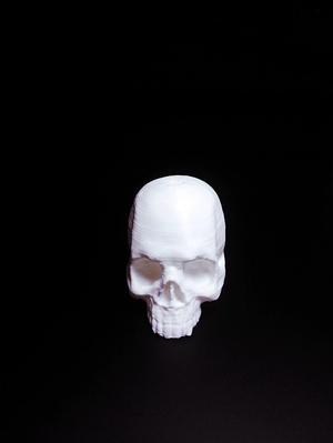 Skull 3D