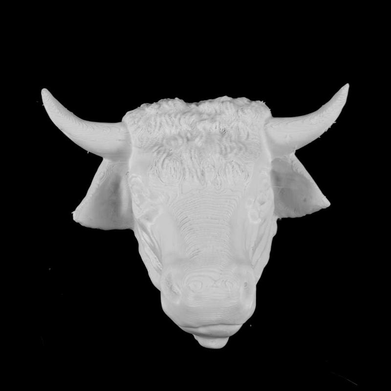 Cow Head at The Islington Museum, London