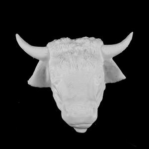 Cow Head at The Islington Museum, London