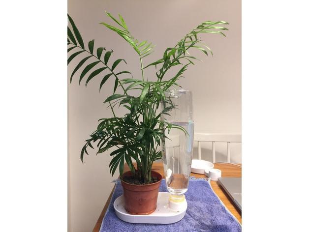 Water Bottle Dish For A Small Pot. Pet Bottle.