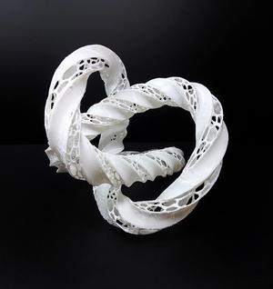 Twisted Trefoil Knot