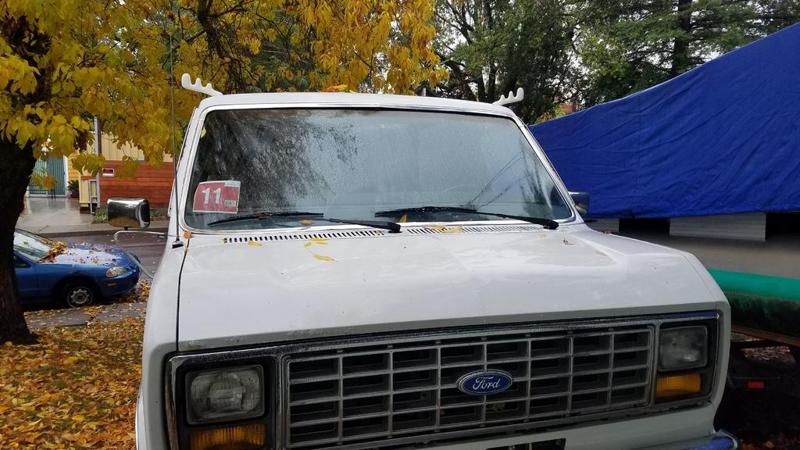 Moose Antlers for your car!  