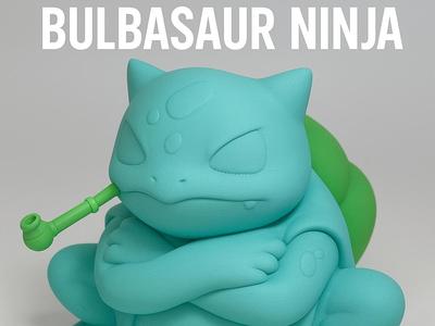 Naruto Bulbasaur