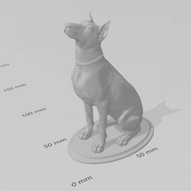 Sitting Doberman dog