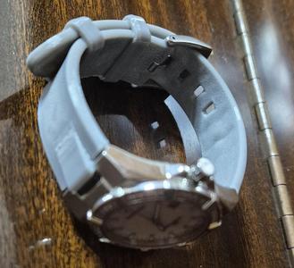 Swiss Eagle Watch Band