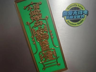 Peppa Pig Socialite Fridge Magnet!!