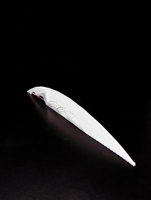 Monster Hunter Weapon