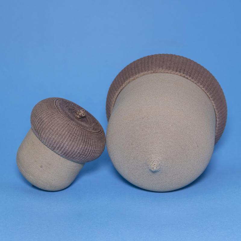 Large Acorntainers / Musical Shaker