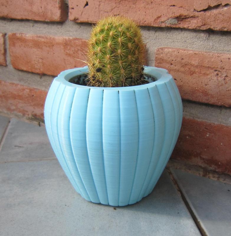 CactusPot9