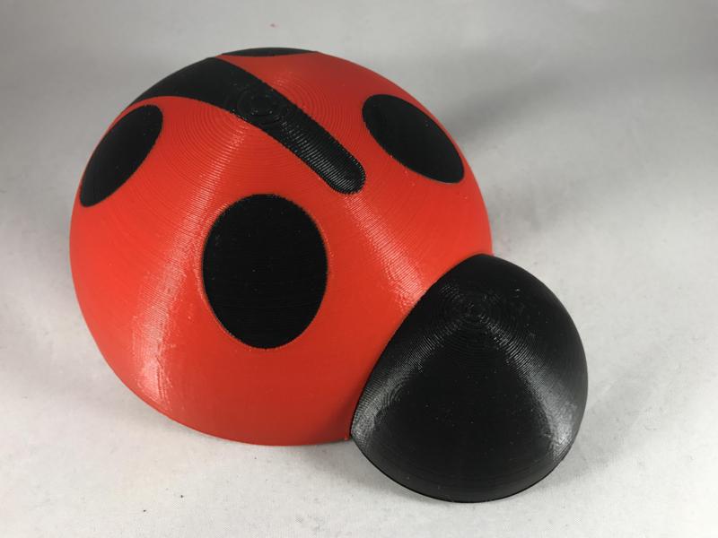 Lady Buggy, Wifi Edition