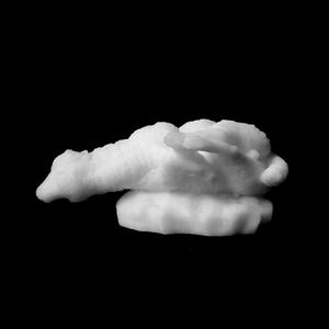 Lamb on an Altar at The State Hermitage Museum, St Petersburg