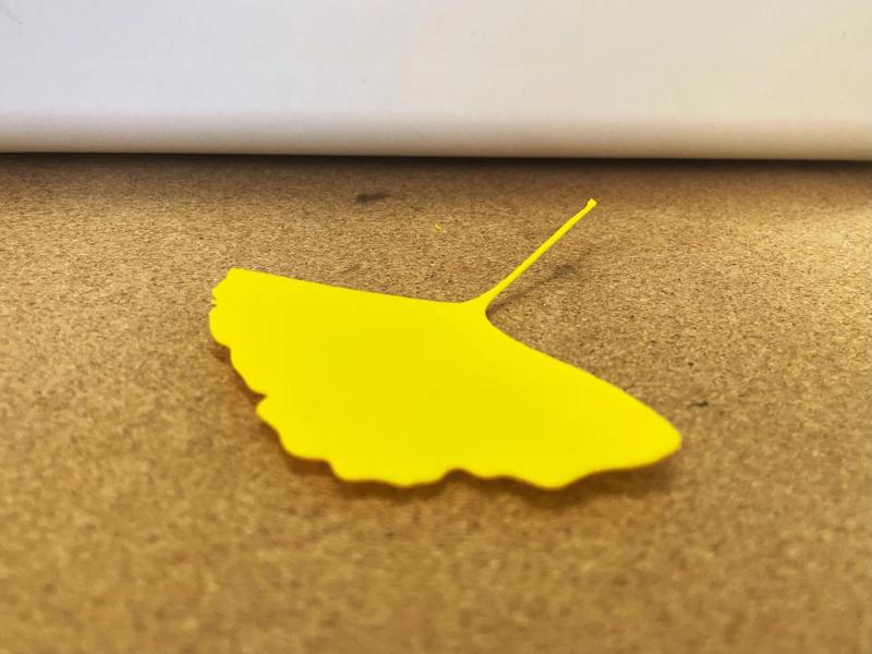 Ginkgo Leaf