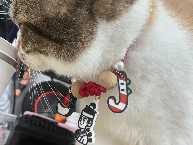 Christmas Candy Cane Pet Ornament