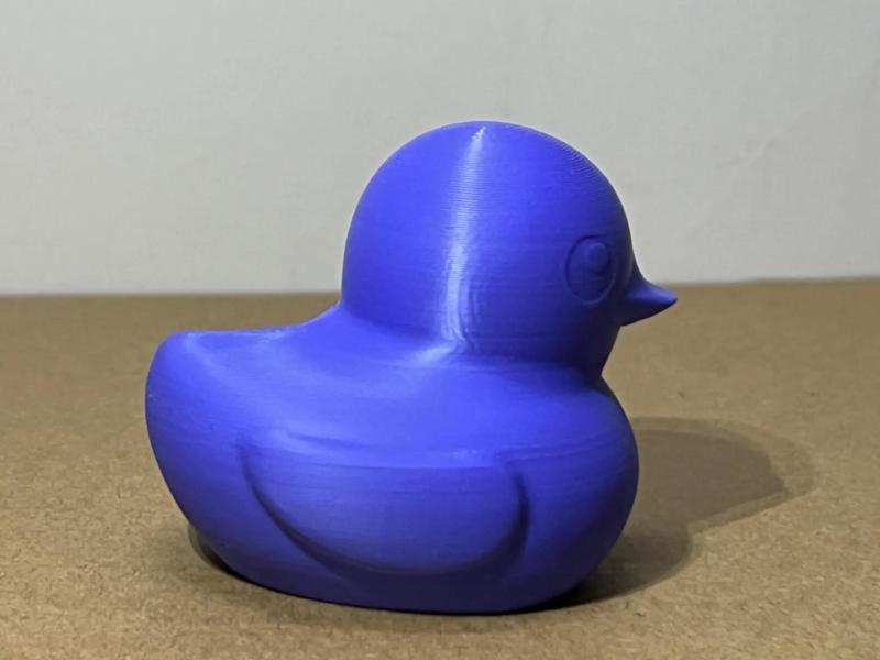 Purple Rubber Duck