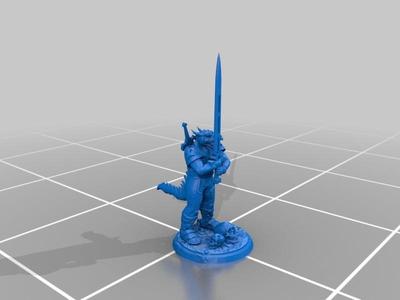 Dragon Born Paladin - Dual Hold