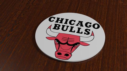 Chicago Bulls Coaster