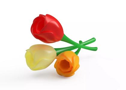 Tulip flower