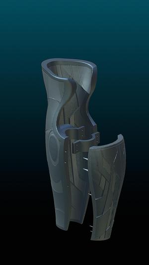 Coverage of "robotech" prosthetic leg