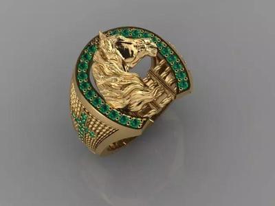 Horse Ring