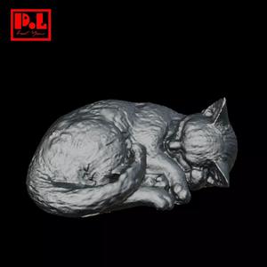 Sleeping cat