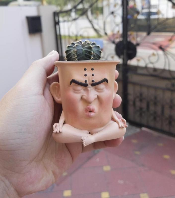 Focused Meditating Pot