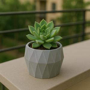 Decorative Mini Pot for Small Plants