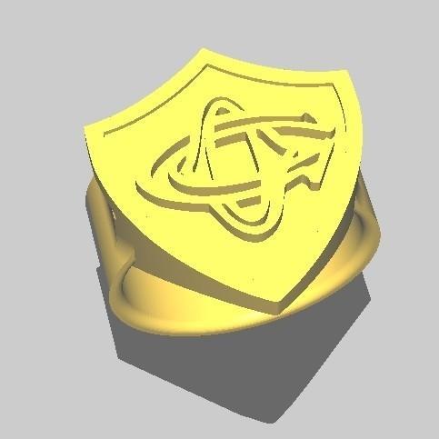 Chevaliere rugby Castres