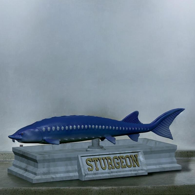 fish beluga / sturgeon / huso huso / vyza velká statue detailed texture for 3d printing