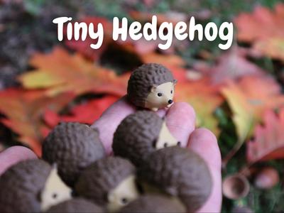 Cute Tiny Hedgehog & Keychain Version