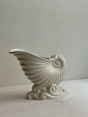 Sea shell