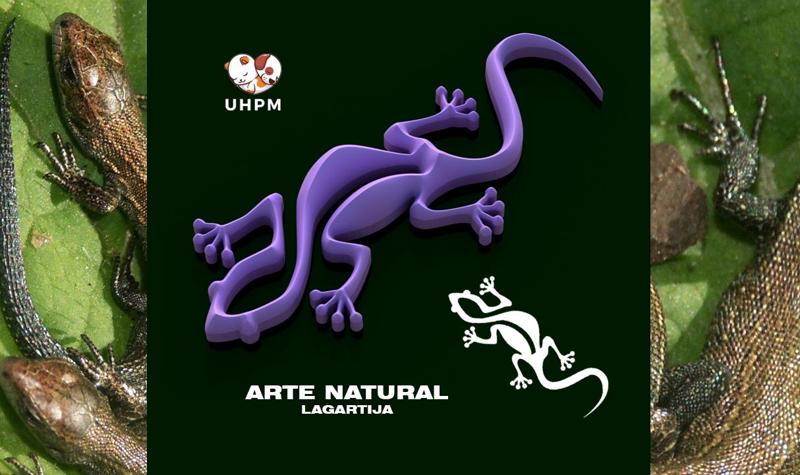 Natural Art - Lizard