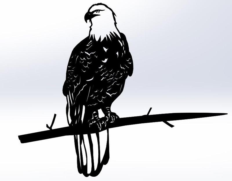 lineart bald eagle branche wall art