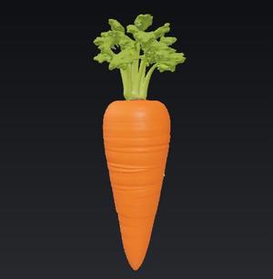 Carrot