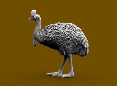 Cassowary